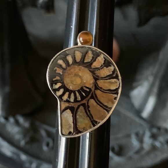 Vintage Ammonite Amber Echo of the Dreamer Sterling Silver Ring - Picture 7 of 13